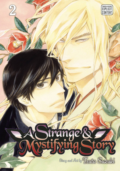 A Strange and Mystifying St...