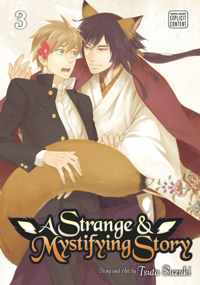 A Strange and Mystifying St...