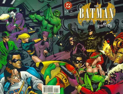 Batman Chronicles (1995)