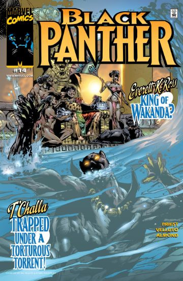 Black Panther #14