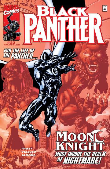 Black Panther #22