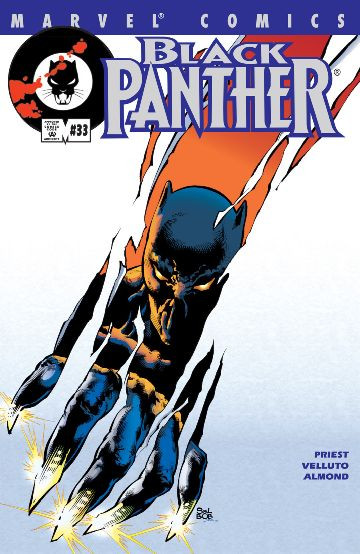 Black Panther #33