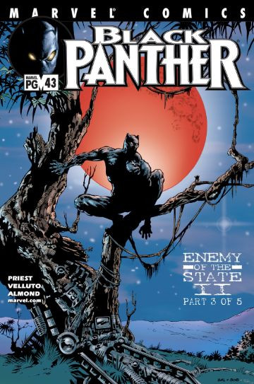 Black Panther #43
