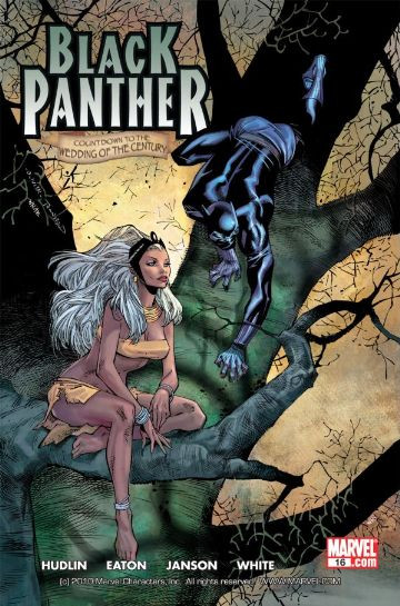 Black Panther #16