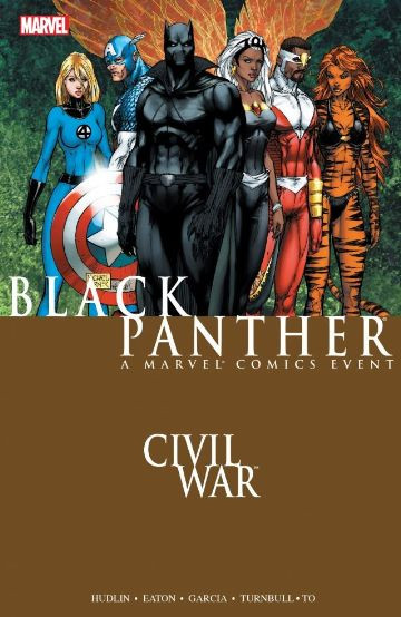 Black Panther Civil War