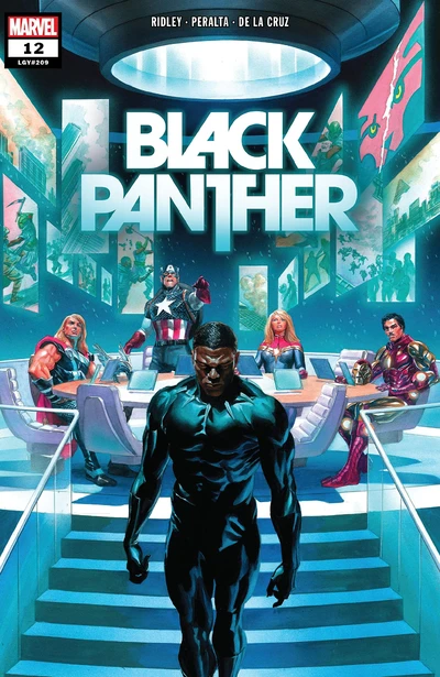 Black Panther #12