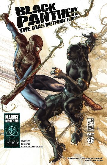 Black Panther: The Man Without Fear #516