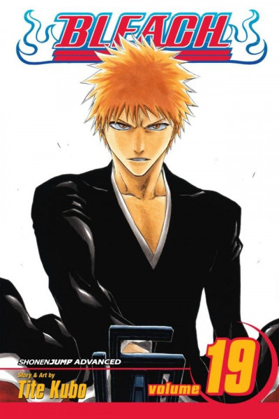 Bleach #19