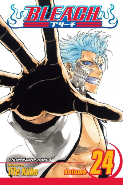 Bleach #24