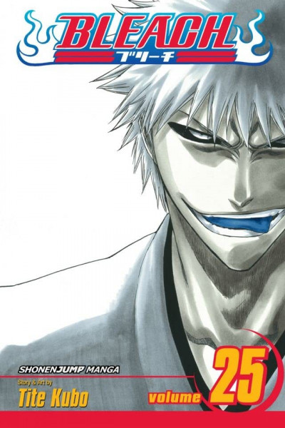 Bleach #25