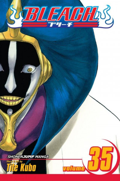 Bleach #35