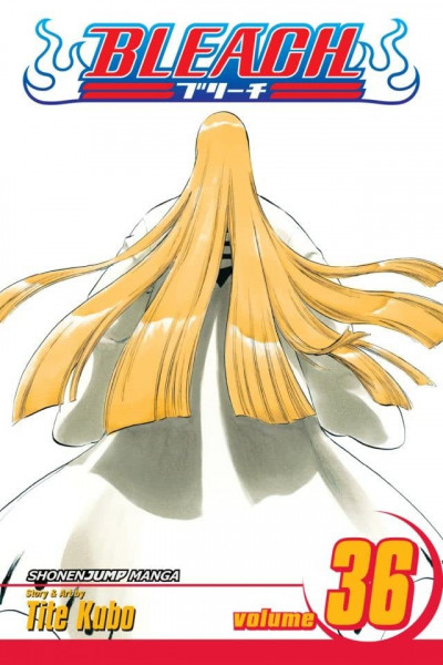 Bleach #36