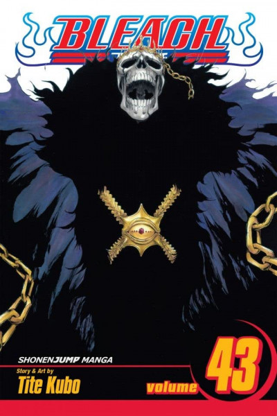 Bleach #43