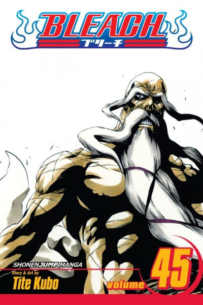 Bleach #45