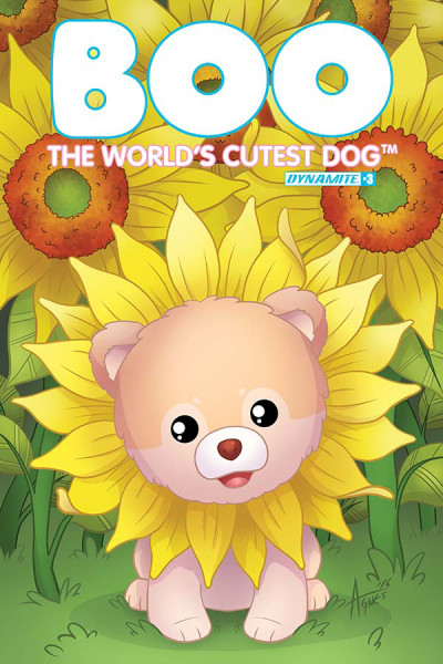 Boo: The World's Cutest Dog #3