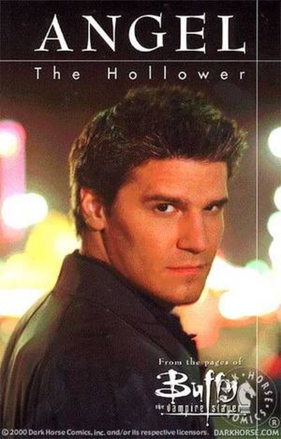 Buffy The Vampire Slayer: Angel The Hollower