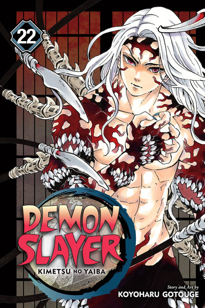 Demon Slayer: Kimetsu no Yaiba #22