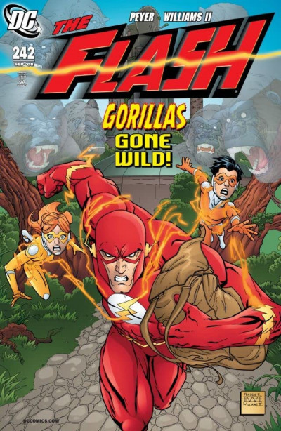 Flash #242