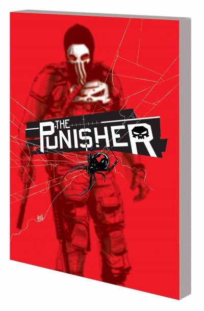 Punisher Vol. 2: Border Cro...
