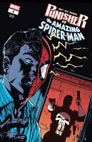 Punisher Vs. Spider-Man #4