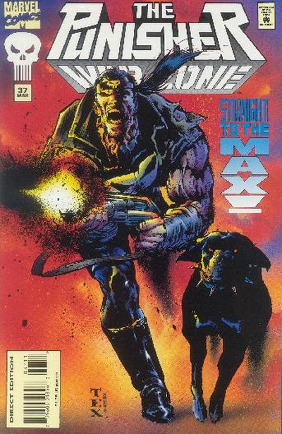 Punisher: War Zone #37