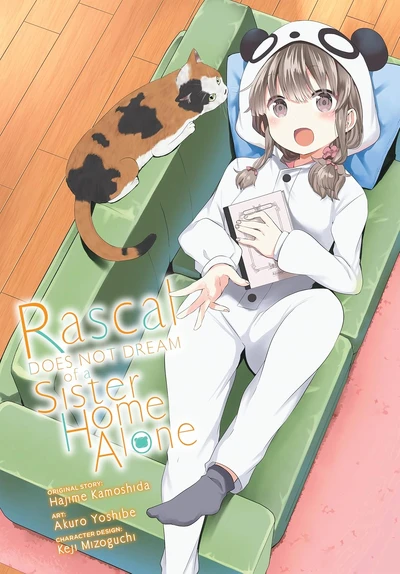 Rascal Does Not Dream of Bu...