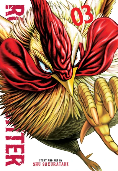 Rooster Fighter #3
