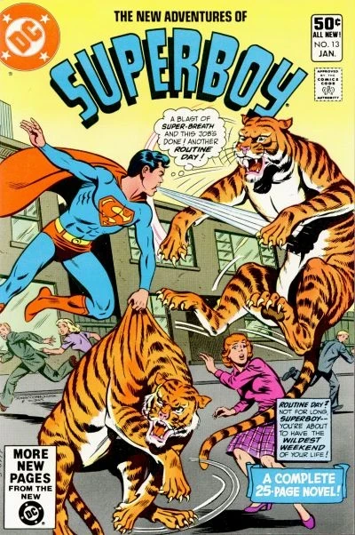 Superboy #13