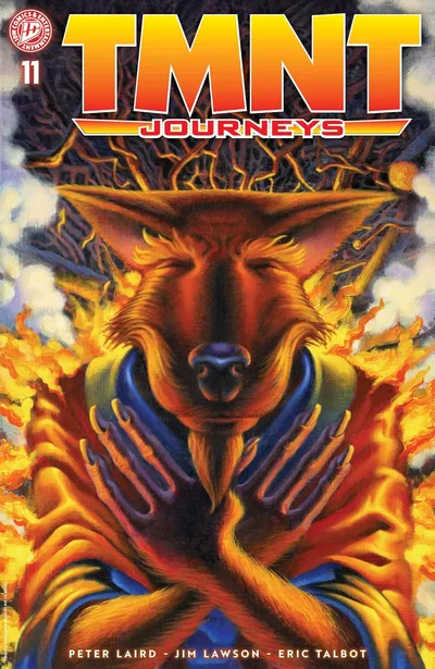 Teenage Mutant Ninja Turtles: Journeys #11