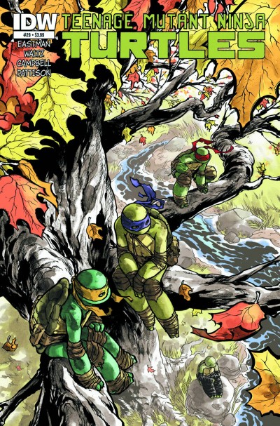 Teenage Mutant Ninja Turtles #29