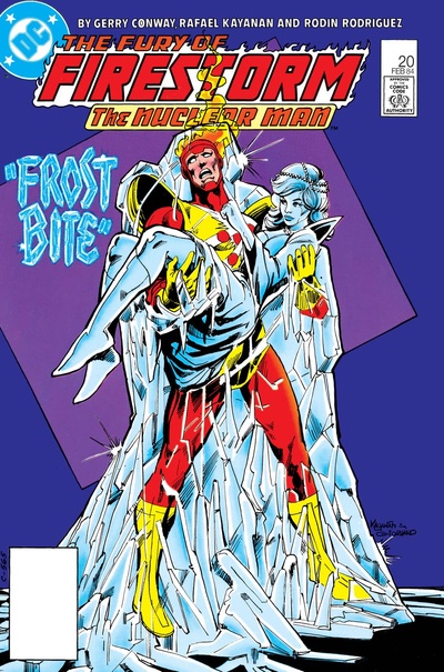 The Fury of Firestorm #20