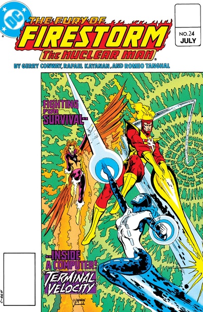 The Fury of Firestorm #24