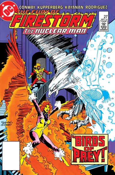 The Fury of Firestorm #27