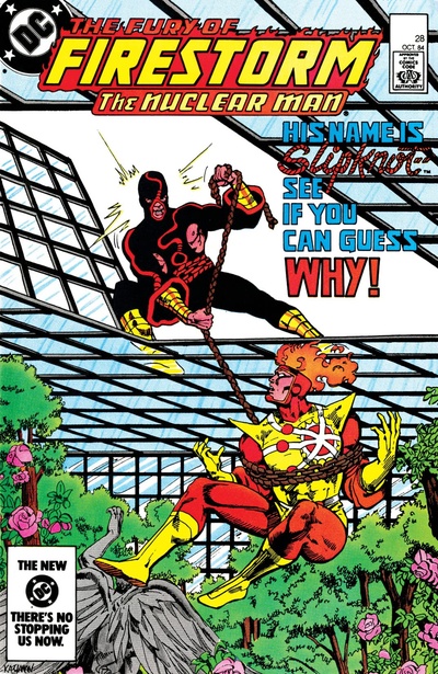 The Fury of Firestorm #28