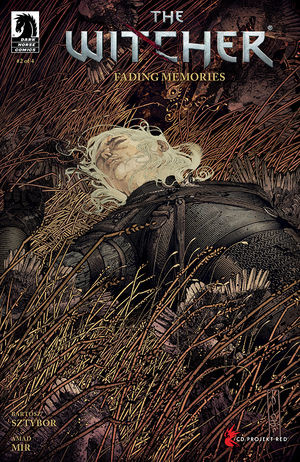 The Witcher: Fading Memorie...