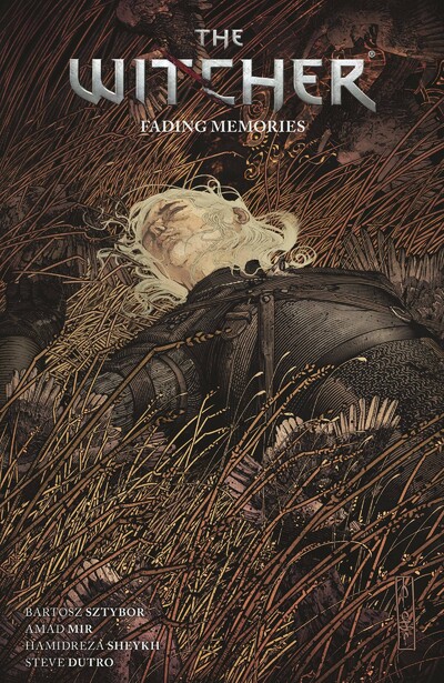 The Witcher Vol. 5: Fading ...