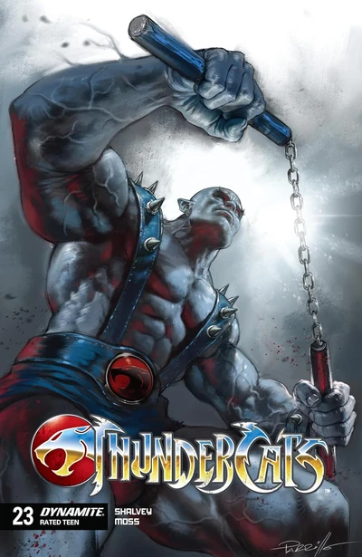 Thundercats #23