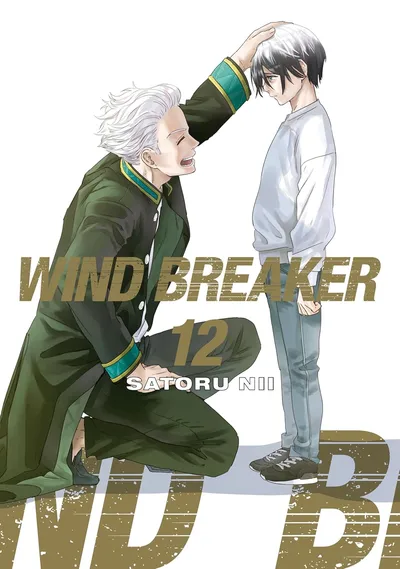 Wind Breaker #12