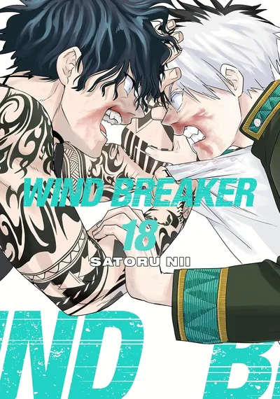 Wind Breaker #18