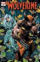Wolverine #17