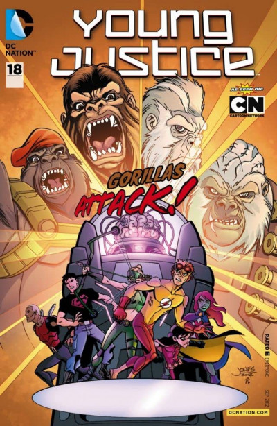 Young Justice #18