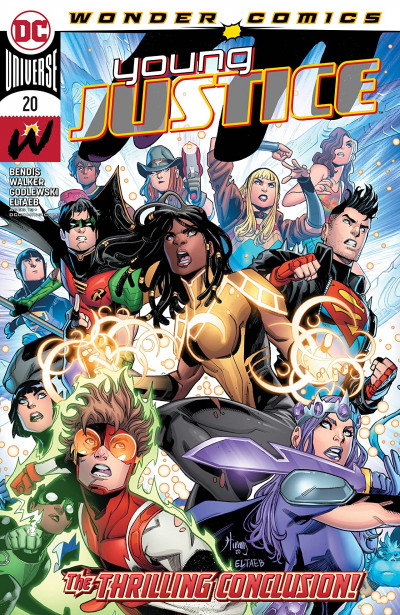 Young Justice #20
